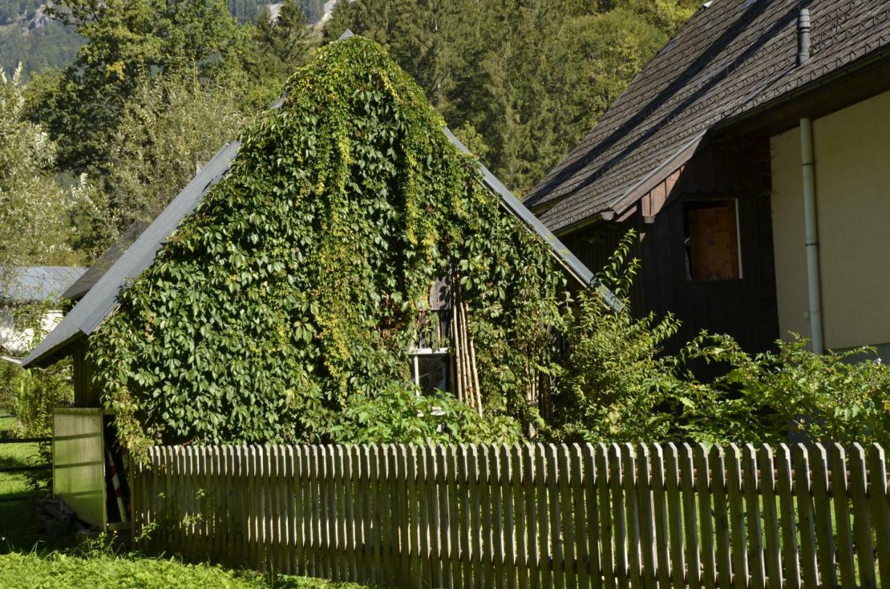 Haus Rosina Villa Admont Dış mekan fotoğraf