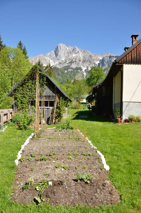 Haus Rosina Villa Admont Dış mekan fotoğraf