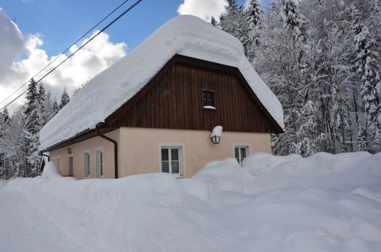 Haus Rosina Villa Admont Dış mekan fotoğraf